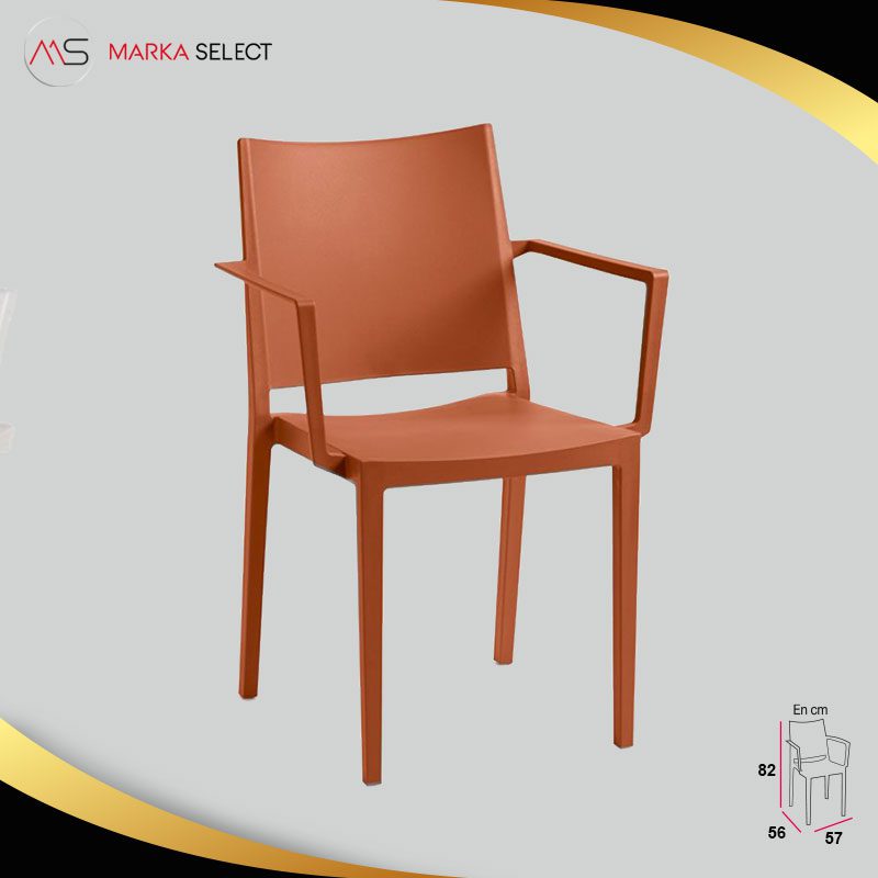 BRIQUE-CARLA BRIQUE-CARLA